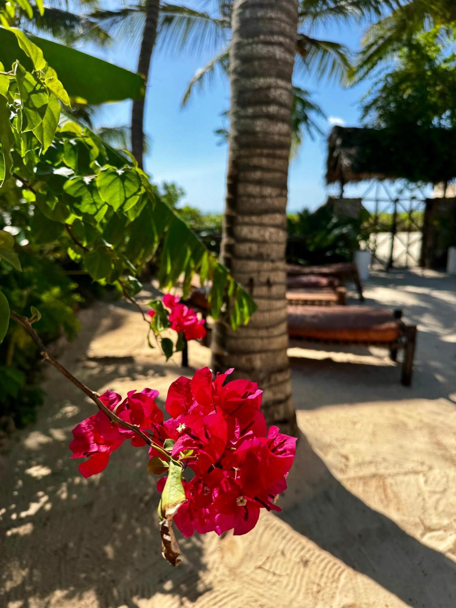 Villa Kipara - Private Beach & Pool بواني ماكهانجاني المظهر الخارجي الصورة